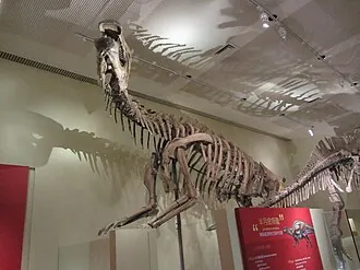 หลานโจวซอรัส (Lanzhousaurus)