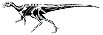 ลาควินตาซอรา (Laquintasaura)