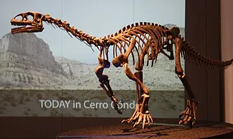 เลโอเนราซอรัส (Leonerasaurus)