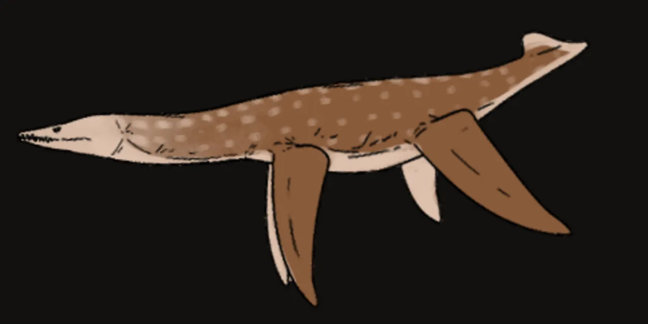เลปโตคลีดัส (Leptocleidus)