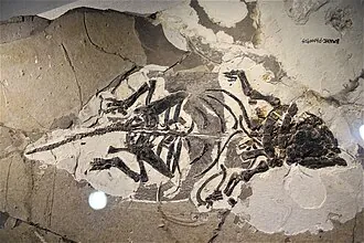 เหลียวหนิงโนซอรัส (Liaoningosaurus)