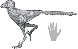 เหลียวหนิงเวเนเตอร์ (Liaoningvenator)