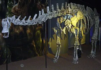ลิมายซอรัส (Limaysaurus)