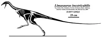 ลิมูซอรัส (Limusaurus)