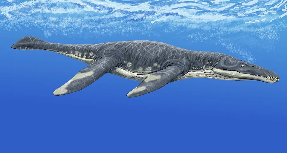 ไลโอพลูโรดอน (Liopleurodon)