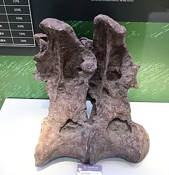 หลิวปังกోซอรัส (Liubangosaurus)