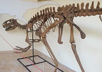 ลูรินญาโนซอรัส (Lourinhanosaurus)