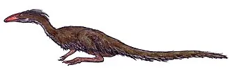 ลูเซียโนเวเนเตอร์ (Lucianovenator)