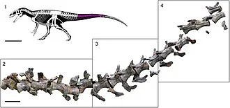ลูโซเวนาเตอร์ (Lusovenator)