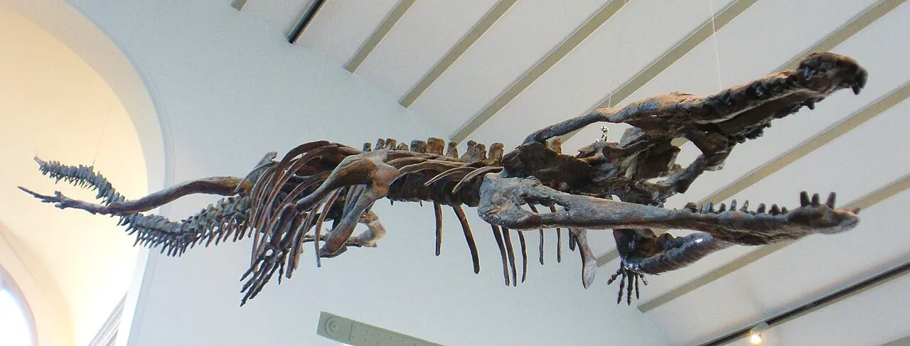 มาคิโมซอรัส (Machimosaurus)