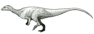 มาโครกริโฟซอรัส (Macrogryphosaurus)