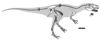 แมกโนซอรัส (Magnosaurus)
