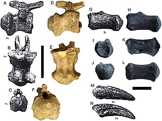 มักยารอซอรัส (Magyarosaurus)