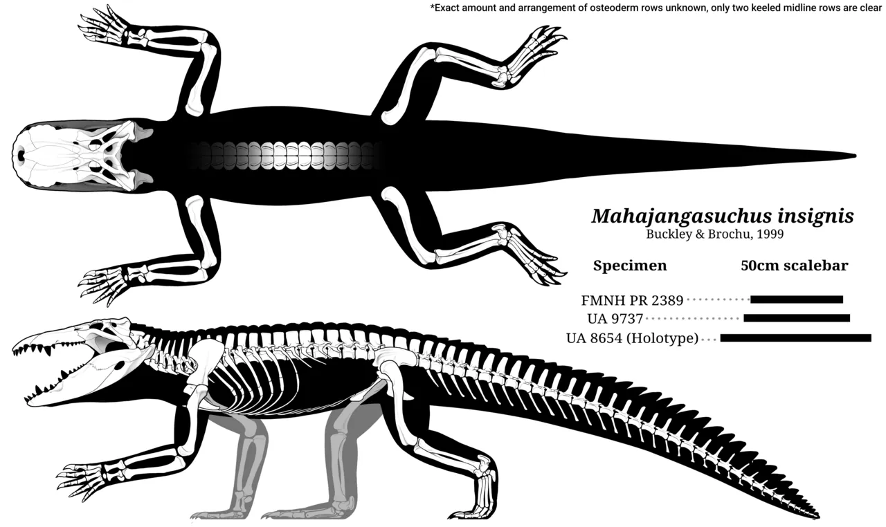 มาฮาจังกาซูคัส (Mahajangasuchus)
