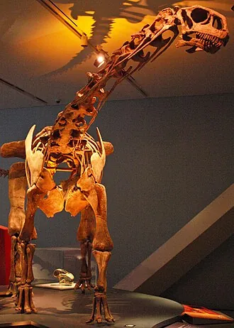 มาลาวิซอรัส (Malawisaurus)