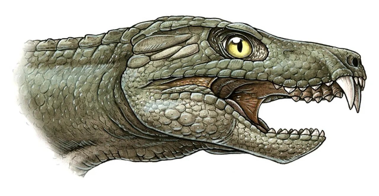 มาริเลียซูคัส (Mariliasuchus)