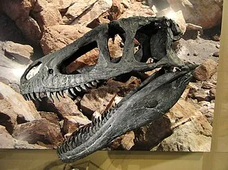 มาร์โชซอรัส (Marshosaurus)