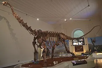 มาซากาลิซอรัส (Maxakalisaurus)