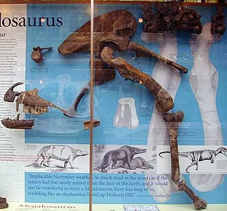 เมกะโลซอรัส (Megalosaurus)