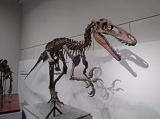 เมก้าแร็ปเตอร์ (Megaraptor)