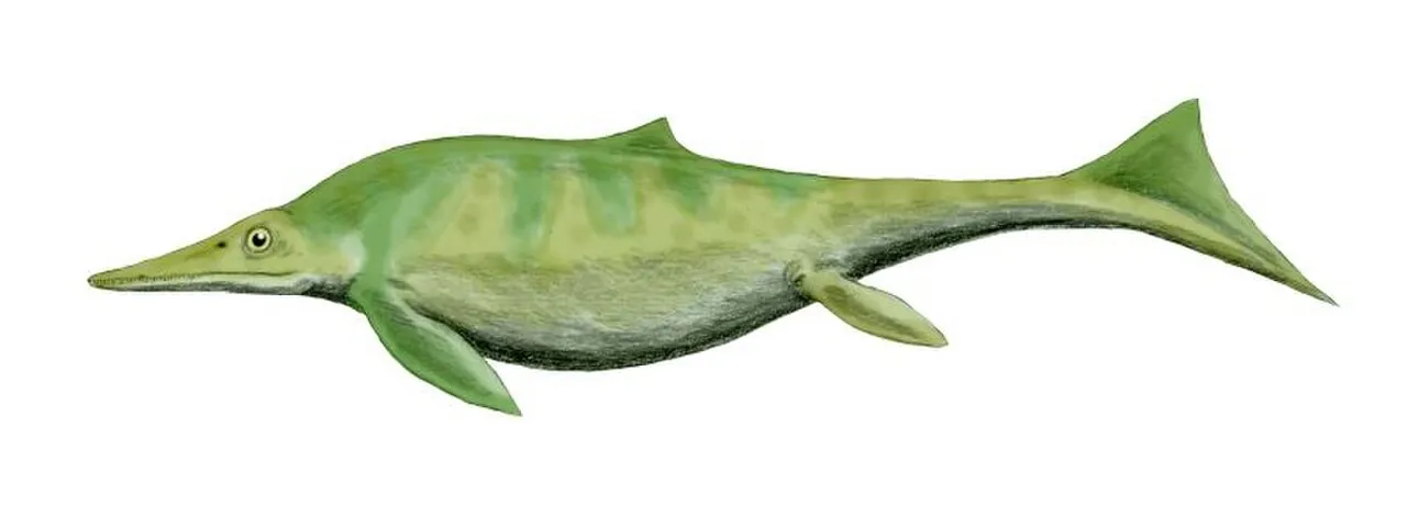 เมอร์เรียโมซอรัส (Merriamosaurus)