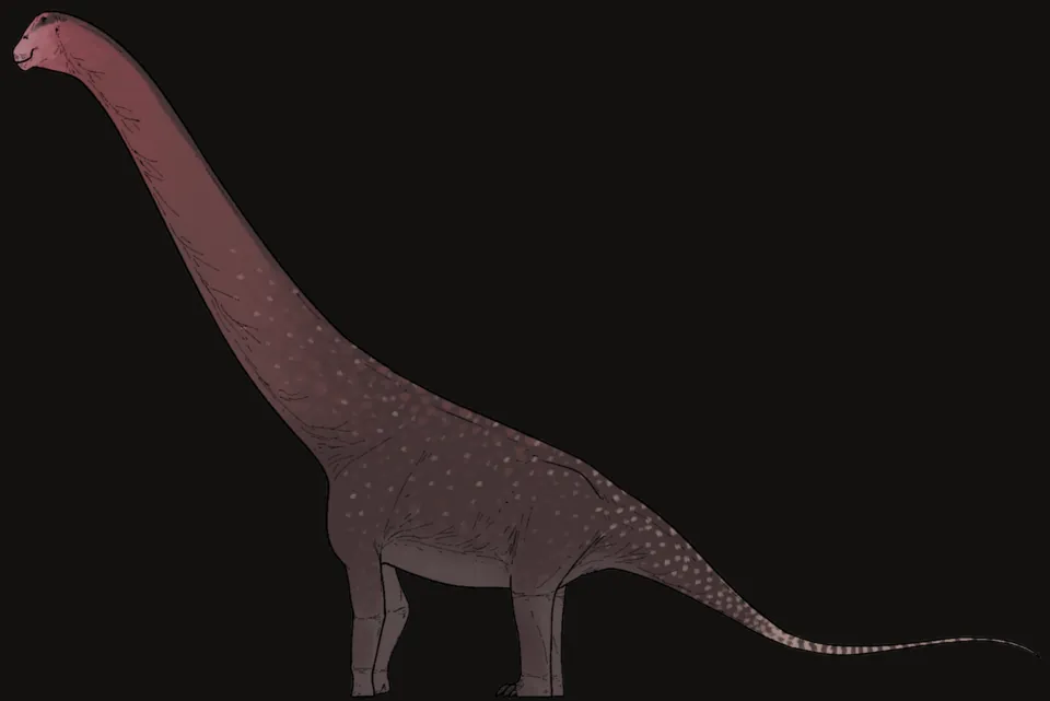 เมเซตาซอรัส (Mesetasaurus)