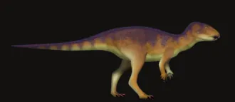 ไมโครพาคีเซฟาโลซอรัส (Micropachycephalosaurus)