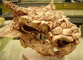 มิโนทอราซอรัส (Minotaurasaurus)