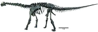 โมอาโบซอรัส (Moabosaurus)