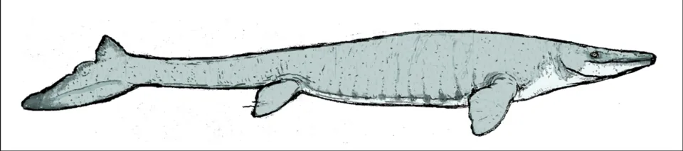 โมซาซอรัส (Moanasaurus)