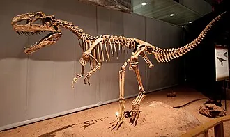 โมโนโลโฟซอรัส (Monolophosaurus)