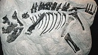 มอนทาโนเซราทอปส์ (Montanoceratops)