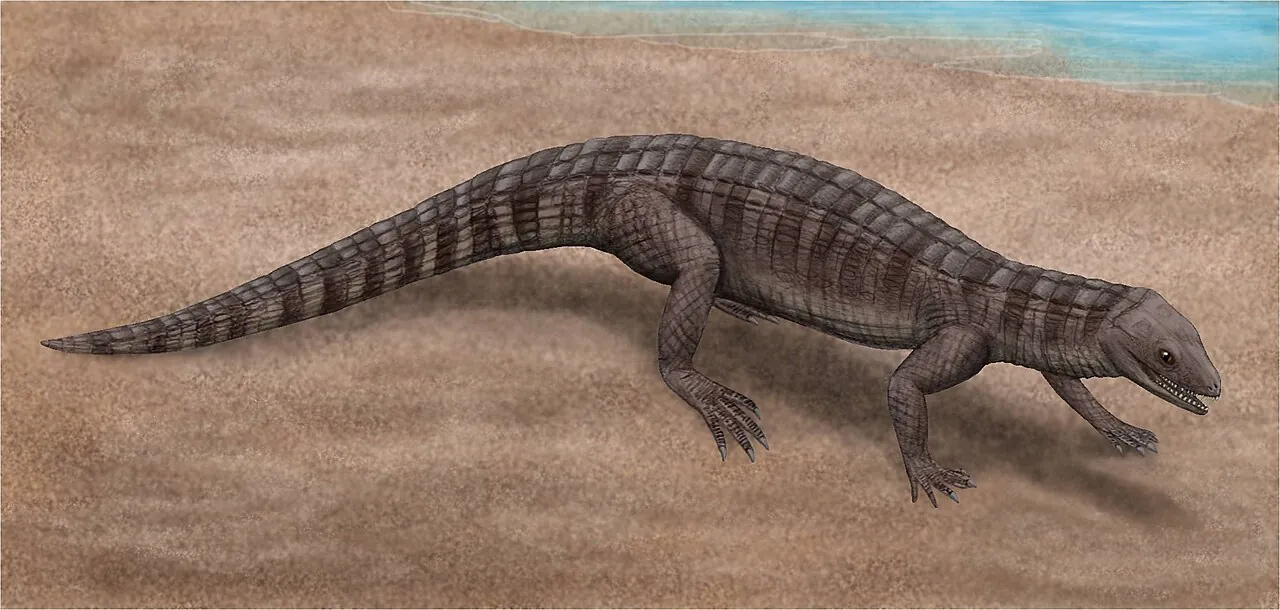 มอนต์เซโคซูคัส (Montsecosuchus)