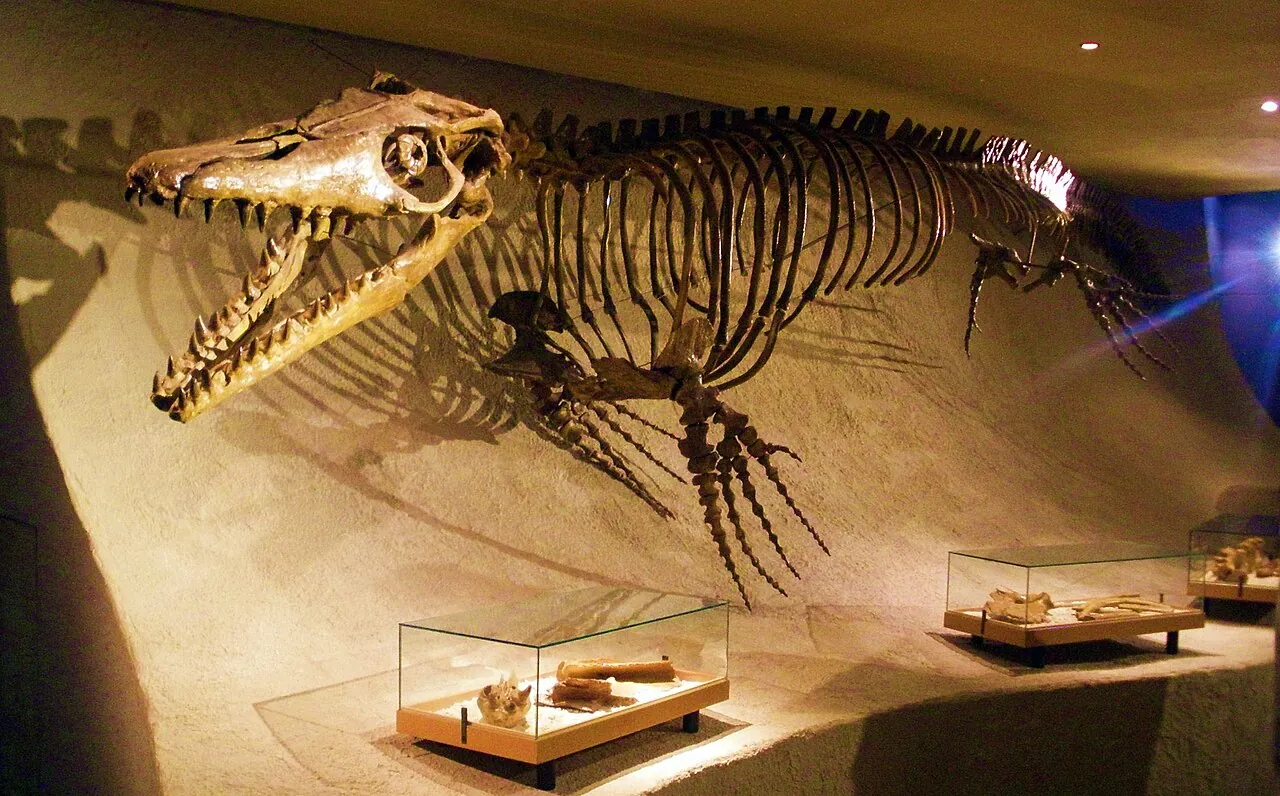 โมซาซอรัส (Mosasaurus)