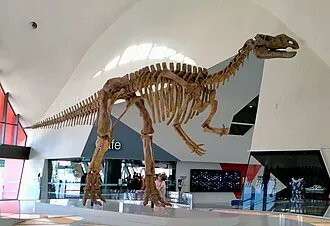 มุททาบัวราซอรัส (Muttaburrasaurus)