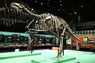 หนานหนิงโกซอรัส (Nanningosaurus)