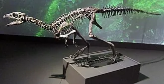 นาโนซอรัส (Nanosaurus)