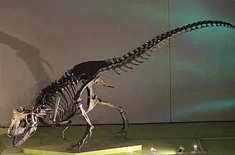 นานุคซอรัส (Nanuqsaurus)