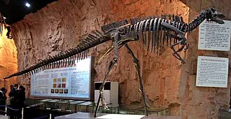 หนานหยางโกซอรัส (Nanyangosaurus)