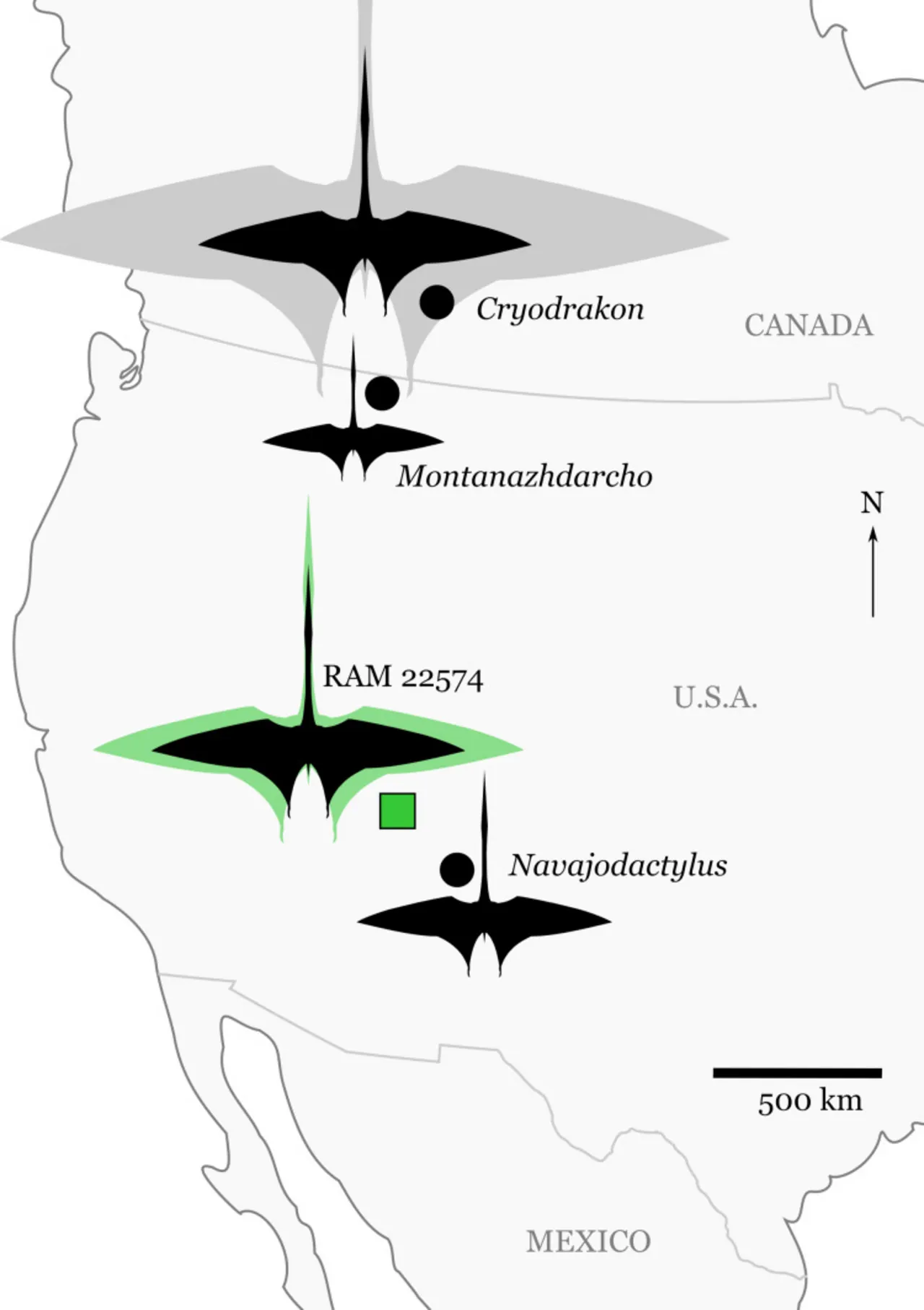 นาวาโจแดกทิลัส (Navajodactylus)