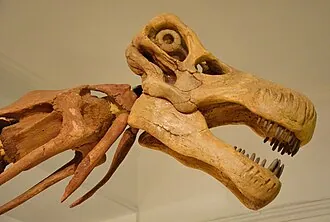 เนเมกโตซอรัส (Nemegtosaurus)