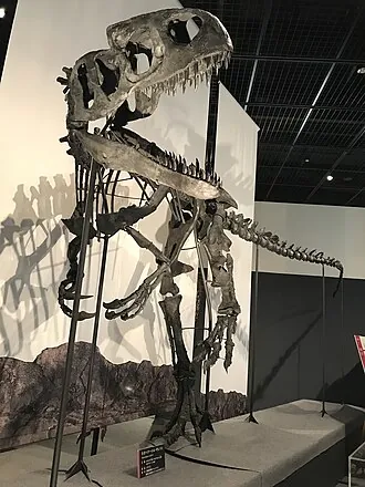 นีโอเวเนเตอร์ (Neovenator)