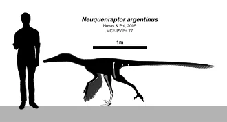 นูเคนแรปเตอร์ (Neuquenraptor)