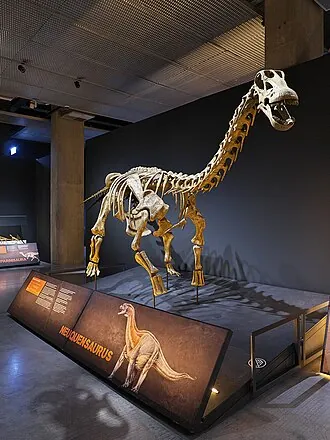 นิวเกนซอรัส (Neuquensaurus)