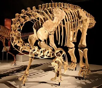 ไนเจอร์ซอรัส (Nigersaurus)