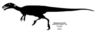 โนอาซอรัส (Noasaurus)