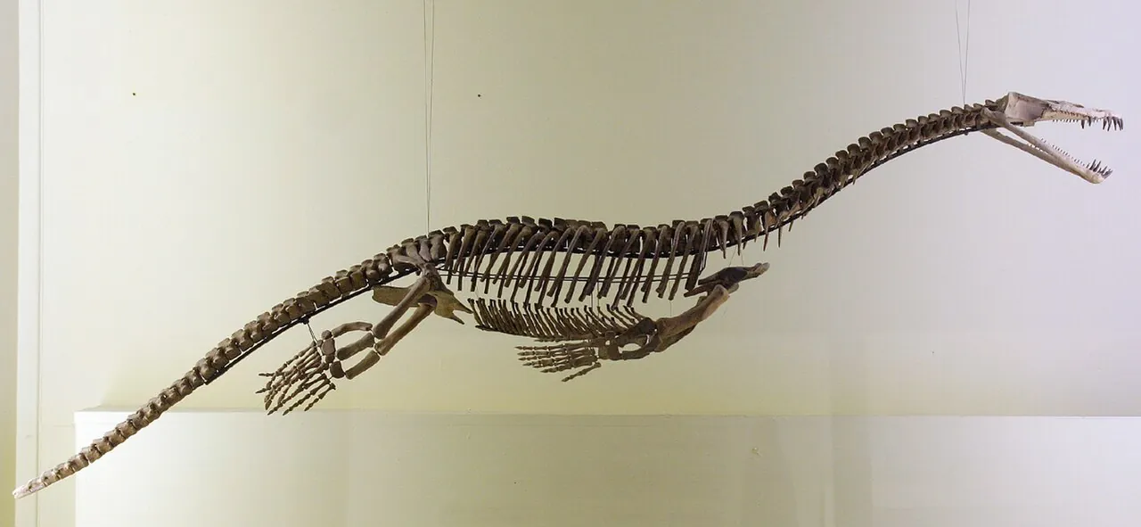 นอโธซอรัส (Nothosaurus)