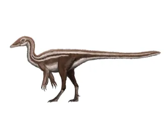นคเวบาซอรัส (Nqwebasaurus)