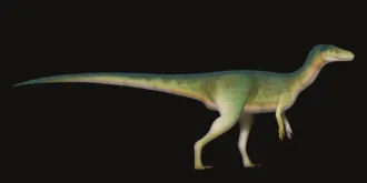 ไนอะซาซอรัส (Nyasasaurus)