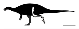 โอบลิโตซอรัส (Oblitosaurus)